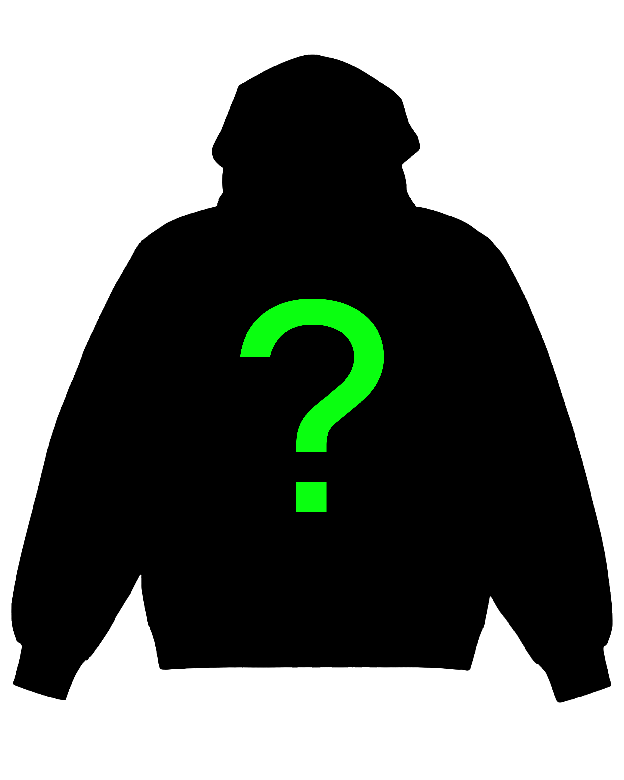 MYSTERY HOODIE